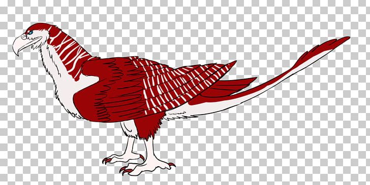 Rooster Domestic Turkey Illustration Beak Chicken As Food PNG, Clipart, Art, Beak, Bird, Chicken, Chicken As Food Free PNG Download