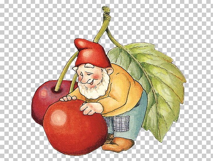 Dwarf Tomato Santa Claus Elf PNG, Clipart, Apple, Cartoon, Christmas Ornament, Dwarf, Elf Free PNG Download