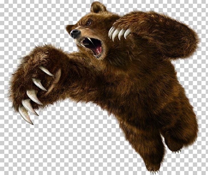 Tekken 6 Tekken 5: Dark Resurrection Tekken Tag Tournament 2 PNG, Clipart, Animals, Bear, Carnivoran, Claw, Fauna Free PNG Download