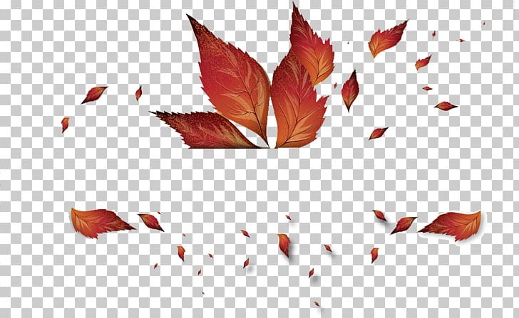 Autumn Leaf Color PNG, Clipart, Autumn, Autumn Leaf Color, Autumn Leaves, Autumn Tree, Clip Art Free PNG Download