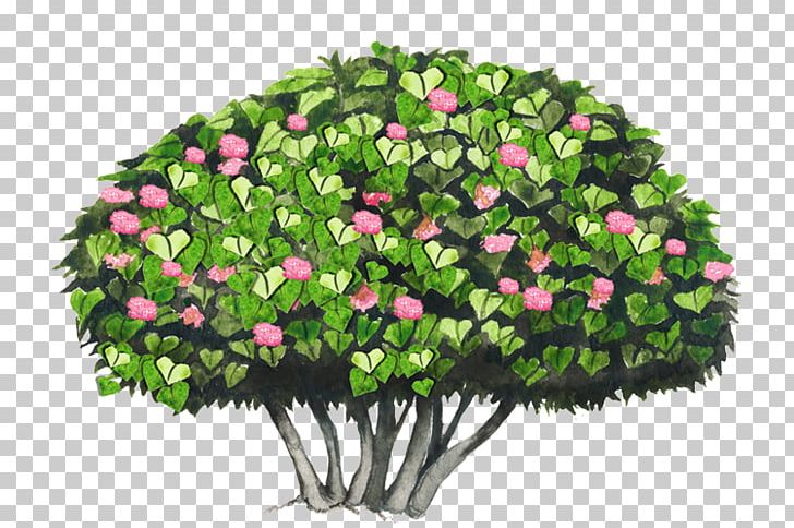 Cut Flowers Tree Shrub Dombeya Wallichii PNG, Clipart, Botany, Branch, Crown, Cut Flowers, Floral Design Free PNG Download