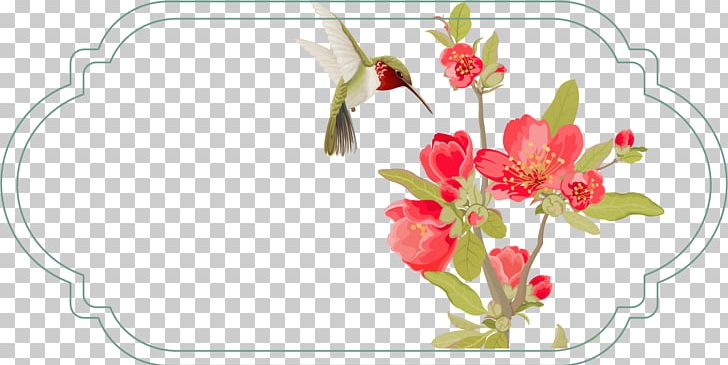 Poster Floral Design Frame PNG, Clipart, Animals, Bird, Bird Cage, Bird Vector, Box Free PNG Download