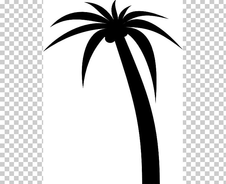 Arecaceae Tree Scalable Graphics PNG, Clipart, Arecaceae, Black And White, Display Resolution, Download, Flower Free PNG Download