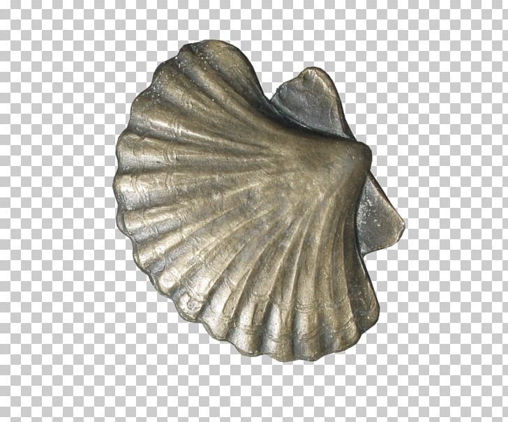 Cockle Silver PNG, Clipart, Artifact, Cockle, Jewelry, Metal, Scallop Free PNG Download