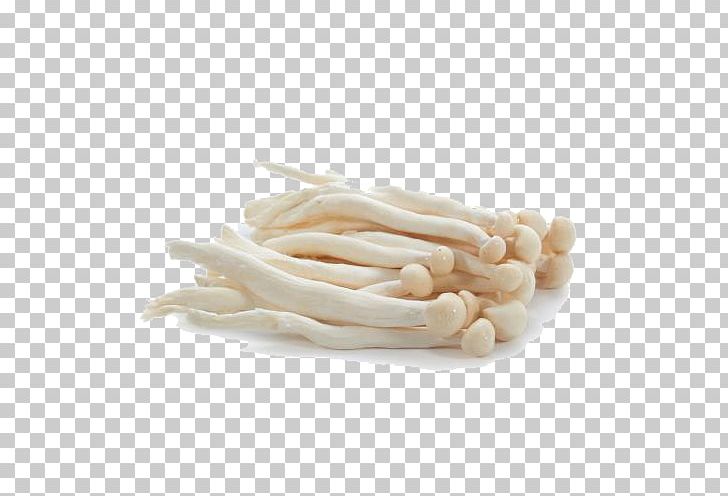 Common Mushroom Fungus PNG, Clipart, Button, Buttons, Clothing, Commodity, Download Free PNG Download