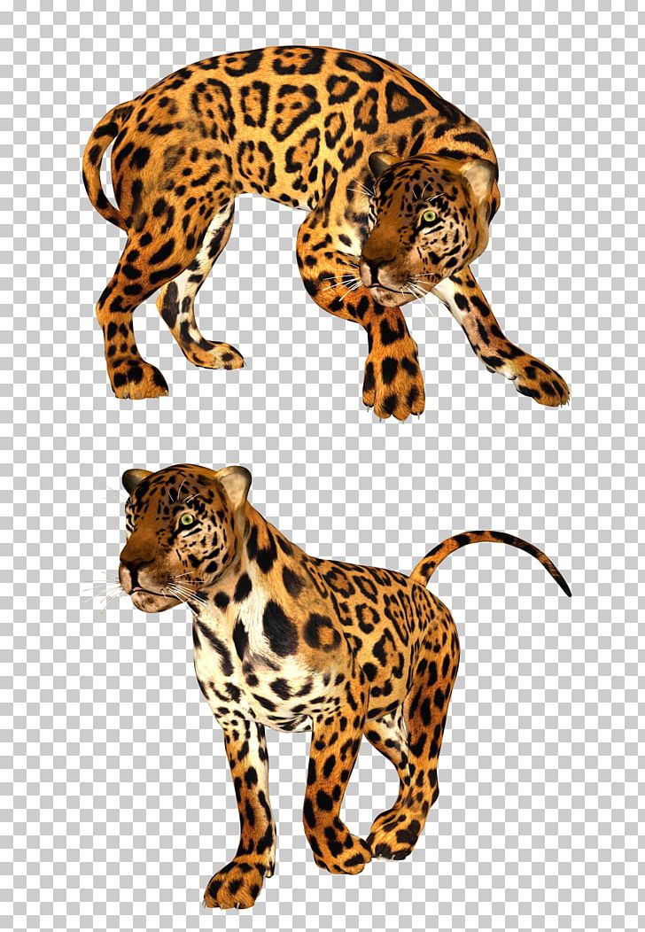 Leopard Cheetah Tiger Lion Felidae PNG, Clipart, Animal, Animal Figure, Animals, Big Cats, Carnivoran Free PNG Download