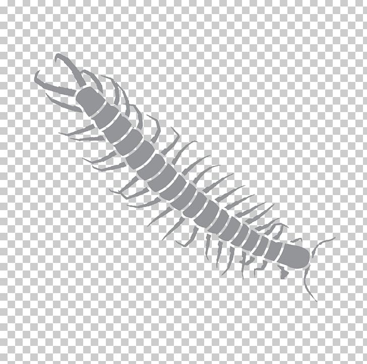 Pest Control Vancouver Invertebrate Exterminator PNG, Clipart, 1st Pest Control, Bed Bug, Black And White, Centipede, Cleaning Free PNG Download