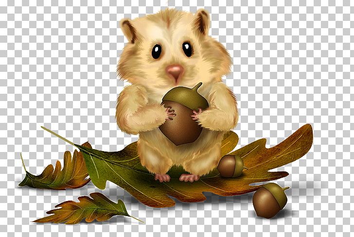 Rodent Red Squirrel Chipmunk Tree Squirrel PNG, Clipart, Autumn, Chipmunk, Dormouse, Eastern Gray Squirrel, Fox Squirrel Free PNG Download