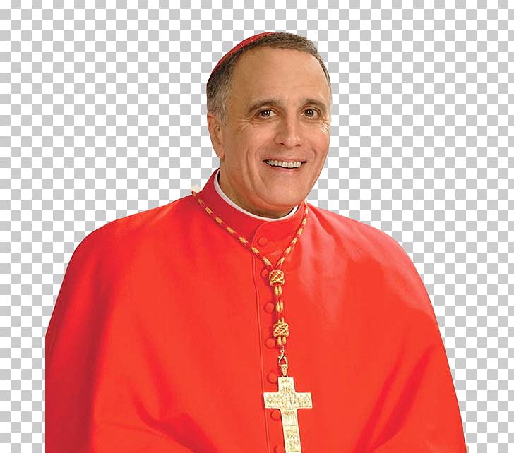 Roman Catholic Archdiocese Of Galveston–Houston Daniel DiNardo Cardinal Deacon Bishop PNG, Clipart, Archbishop, Auxiliary Bishop, Bishop, Cardinal, Catholicism Free PNG Download