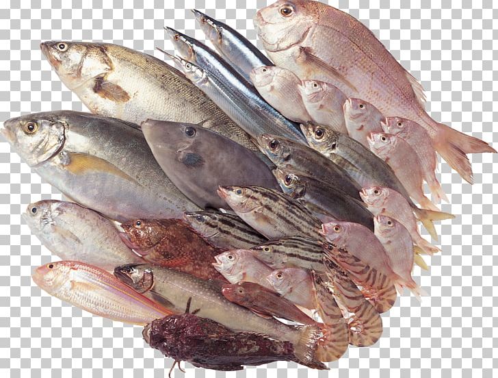 Seafood Fish As Food Stuffing PNG, Clipart, Animals, Animal Source Foods, Computer Software, Depositfiles, Fish Free PNG Download