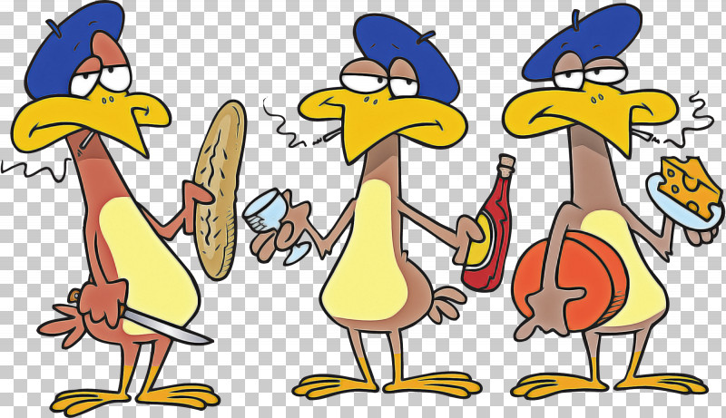 Beak Ducks Water Bird Birds Cartoon PNG, Clipart, Beak, Behavior, Birds, Cartoon, Ducks Free PNG Download