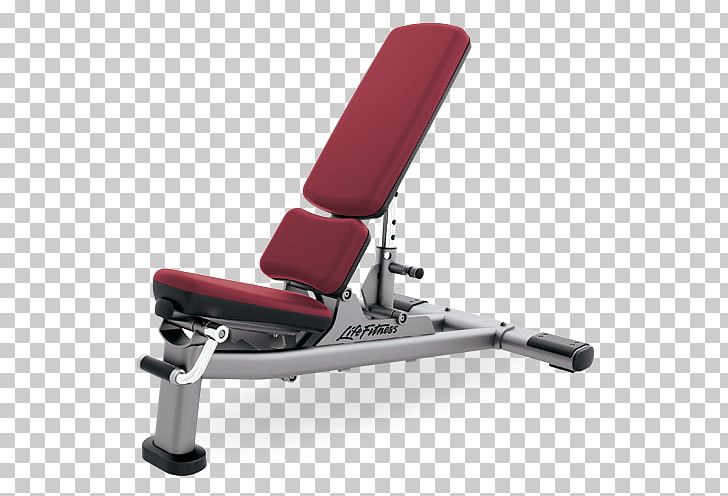 Bench Exercise Equipment Fitness Centre Weight Training Physical Fitness PNG, Clipart, Bench, Biceps Curl, Chair, Comfort, Exercise Equipment Free PNG Download