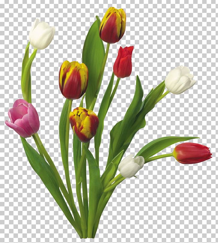 Flower Desktop PNG, Clipart, Bud, Clip Art, Cut Flowers, Desktop Wallpaper, Display Resolution Free PNG Download