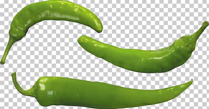 Pepper PNG, Clipart, Pepper Free PNG Download