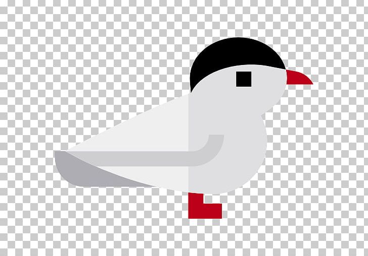 Arctic Tern Computer Icons Terns PNG, Clipart, Anatidae, Animal, Arctic, Arctic Ice Pack, Arctic Tern Free PNG Download