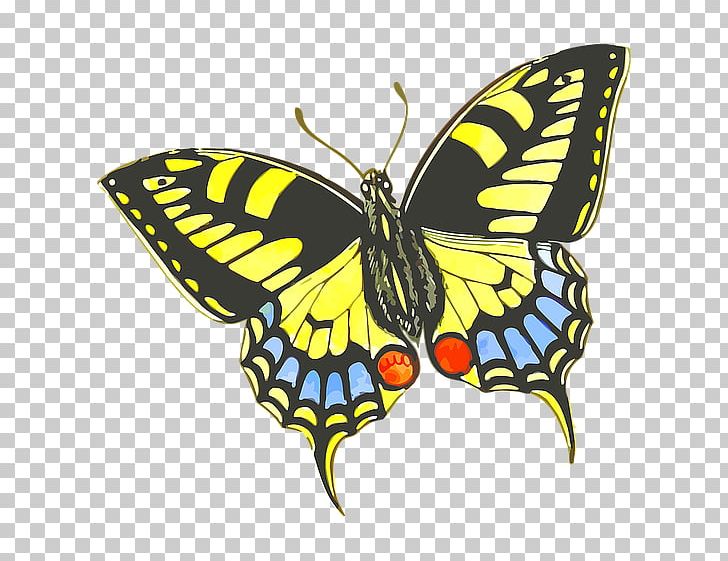 Monarch Butterfly Drawing Insect Illustration PNG, Clipart, Animal, Animals, Brush Footed Butterfly, Cartoon, Cartoon Animals Free PNG Download