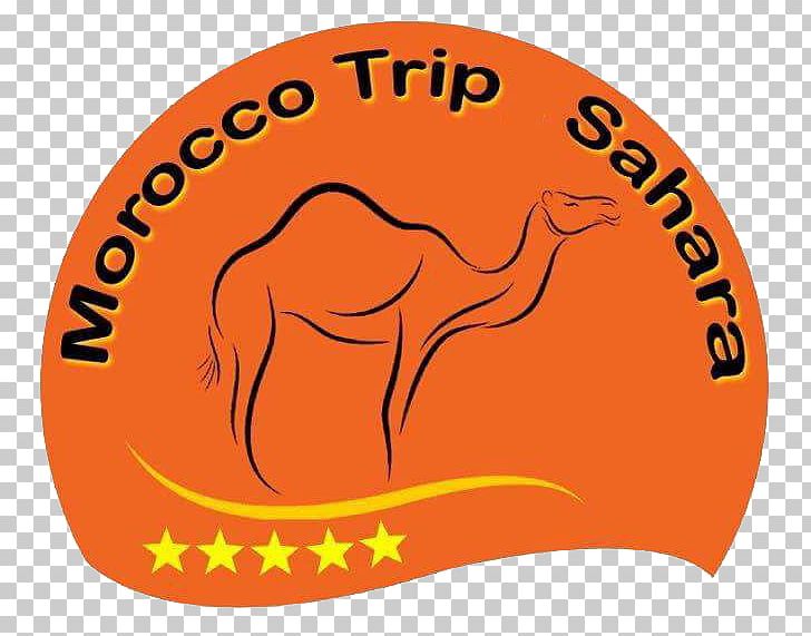 Morocco Trips Sahara Marrakesh Desert PNG, Clipart, Animal, Area, Brand, Cap, Desert Free PNG Download
