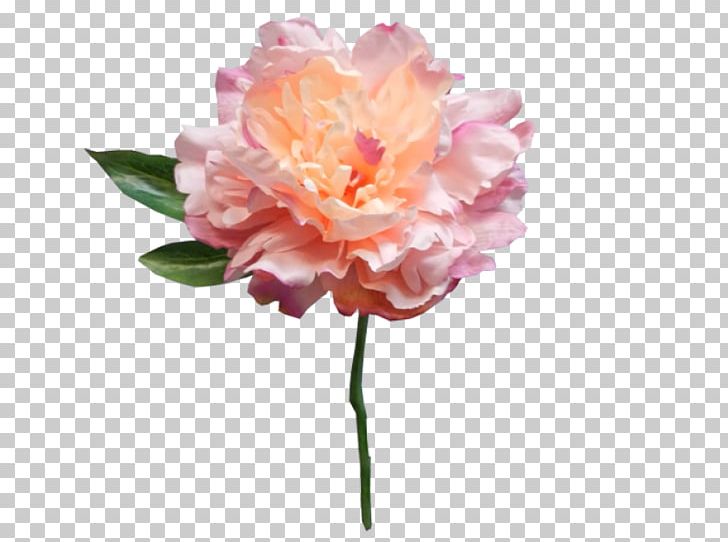 Peony Pink Artificial Flower Cut Flowers PNG, Clipart, Artificial Flower, Color, Cut Flowers, Floristry, Flower Free PNG Download