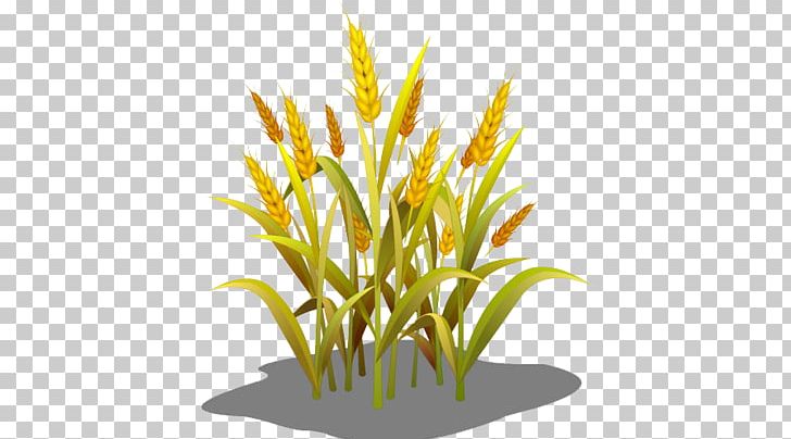 Wheat Grasses Sowing Food PNG, Clipart, Aquarium Decor, Browser Game, Cartoon, Cartoon Wheat, Commodity Free PNG Download