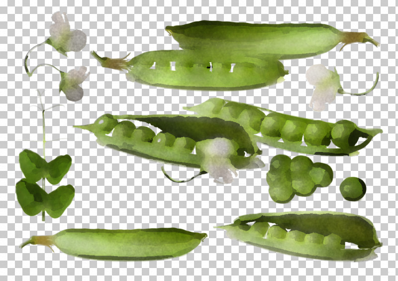 Legume Pea Snow Peas Snap Pea Plant PNG, Clipart, Broad Bean, Food, Fruit, Green Bean, Hyacinth Bean Free PNG Download
