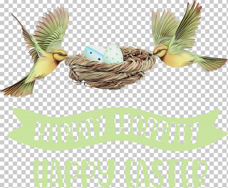 Birds Nest Clutch Nest Box Beak PNG, Clipart, Beak, Bird Egg, Birds, Clutch, Happy Easter Free PNG Download