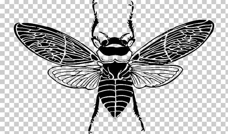 Honey Bee PNG, Clipart, Arthropod, Bee, Beehive, Bee Silhouette, Black And White Free PNG Download