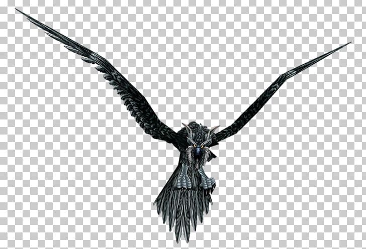 Bird Crow Common Raven World Of Warcraft Wowpedia PNG, Clipart, Animal, Animals, Beak, Bird, Common Raven Free PNG Download