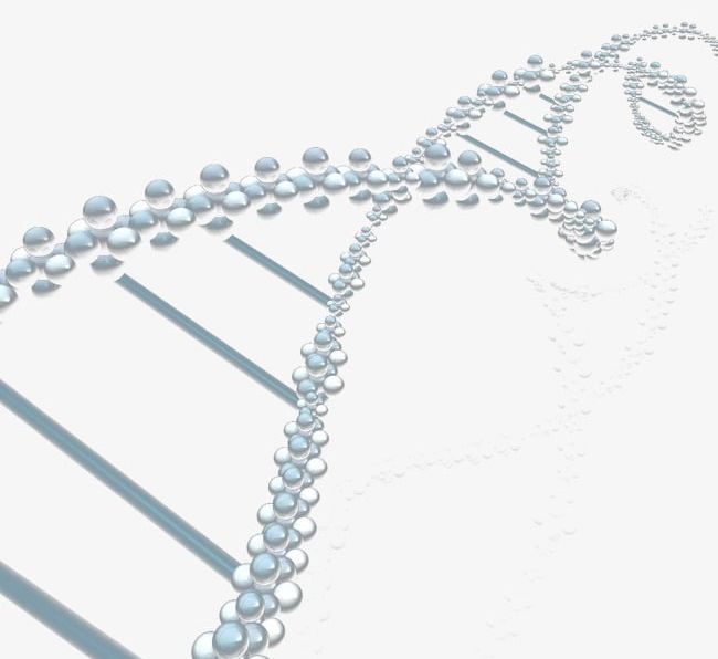 Dna Helix Technology Background PNG, Clipart, Background, Chart, Dna, Dna Background, Dna Chart Free PNG Download