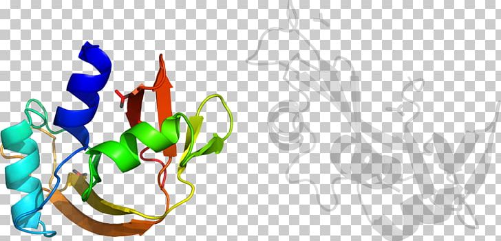 Graphic Design Leaf Plant Stem PNG, Clipart, Art, Artwork, Beta2 Microglobulin, Branch, Flora Free PNG Download