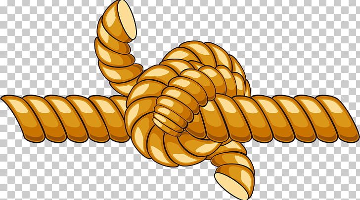 Rope Knot Cartoon PNG, Clipart, Cartoon, Cartoon Rope, Download, Drawing, Dynamic Rope Free PNG Download