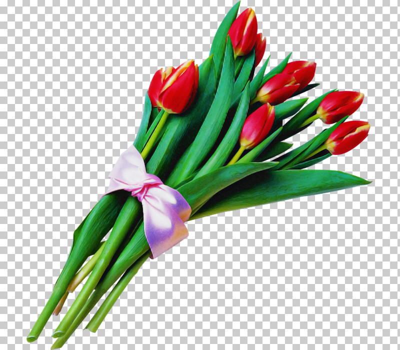 Flower Tulip Plant Cut Flowers Bouquet PNG, Clipart, Bouquet, Cut Flowers, Flower, Lily Family, Plant Free PNG Download