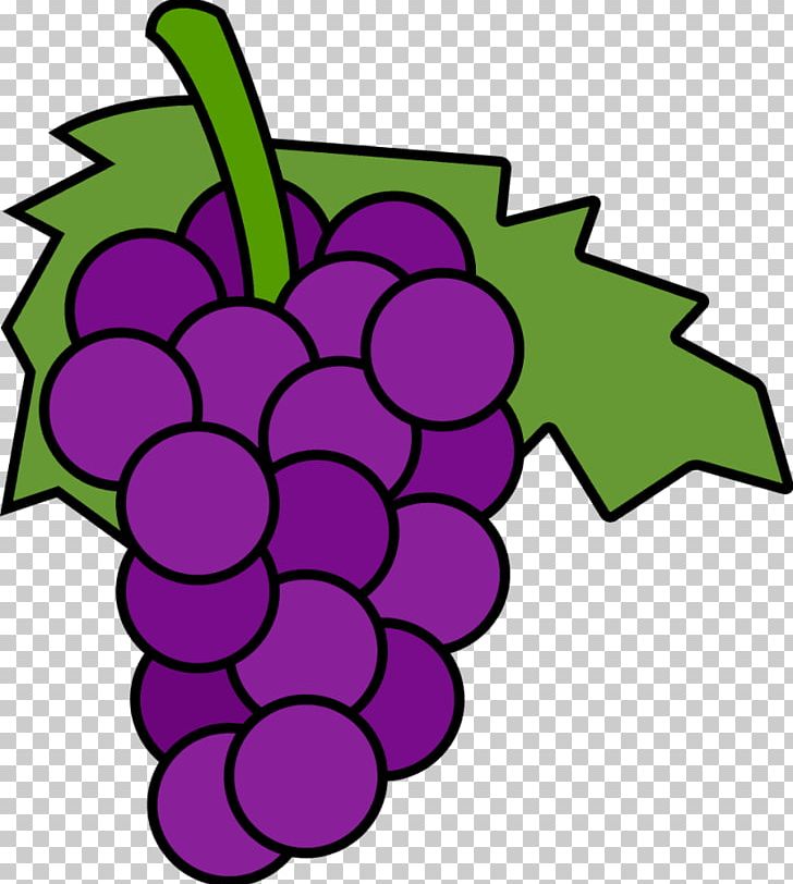 Common Grape Vine Wine Free Content PNG, Clipart, Artwork, Cartoon, Cartoon  Grapes Cliparts, Circle, Clip Art