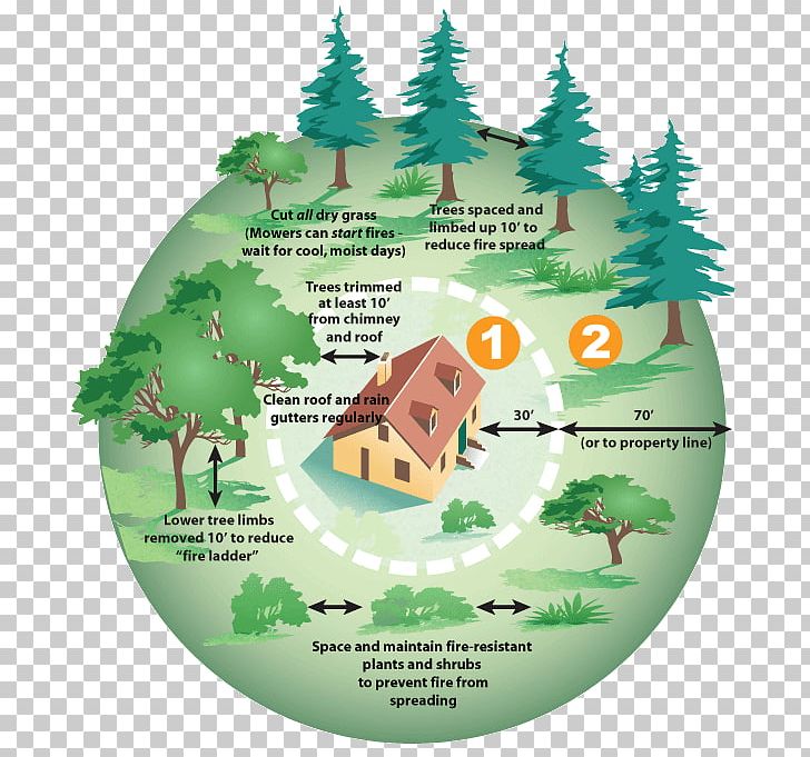 Mill Valley Aptos Defensible Space Wildfire California Department Of Forestry And Fire Protection PNG, Clipart, Building, California, Christmas Decoration, Christmas Ornament, Christmas Tree Free PNG Download
