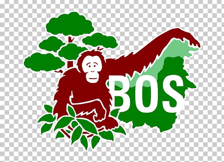 Central Kalimantan Bornean Orangutan Samboja Lestari Primate Borneo Orangutan Survival PNG, Clipart, Animals, Borne, Bornean Orangutan, Branch, Captivity Free PNG Download