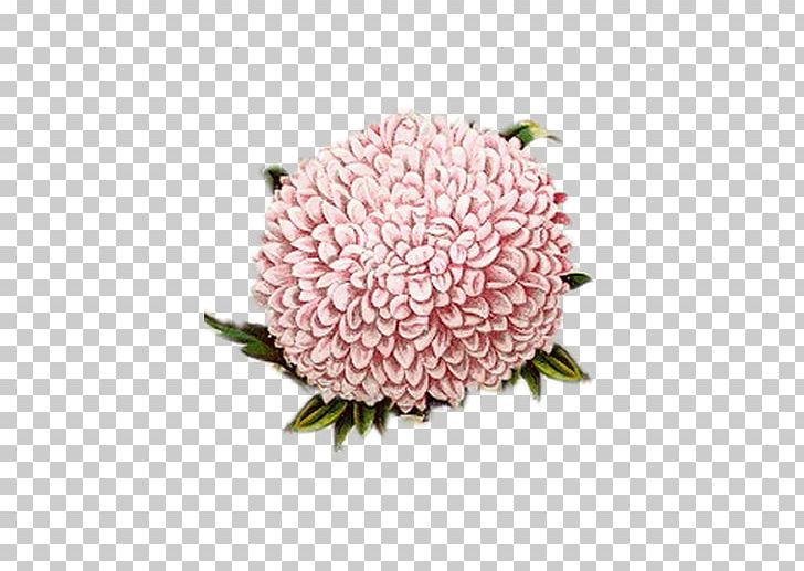 Cut Flowers Paper Collage PNG, Clipart, Art, Chrysanths, Collage, Cut Flowers, Cycas Rumphii Free PNG Download