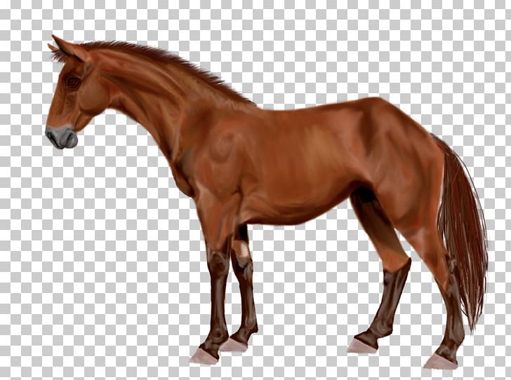 Mare Arabian Horse Stallion Australian Stock Horse Mustang PNG, Clipart, Animal Figure, Arabian Horse, Australian Stock Horse, Bay, Bit Free PNG Download