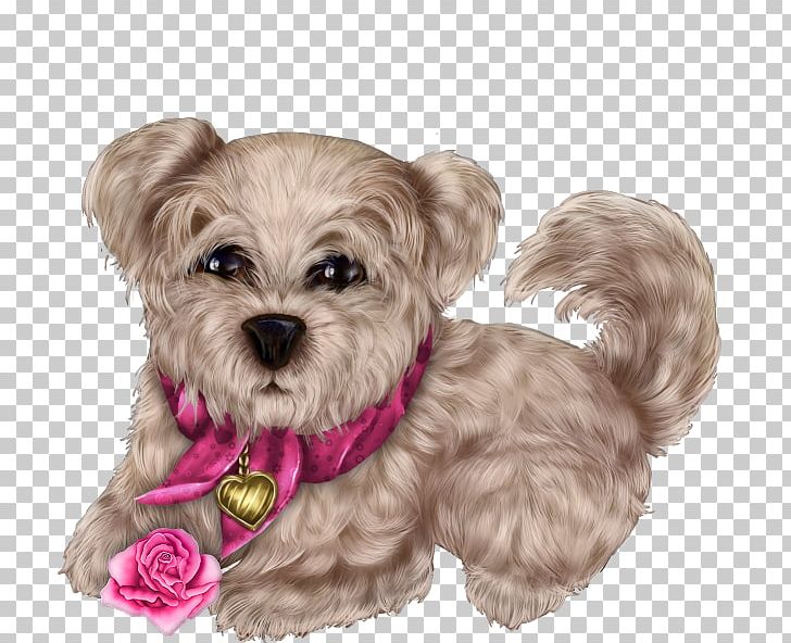 Morkie Mood Blogger Puppy PNG, Clipart, Animals, Bell, Blog, Carnivoran, Companion Dog Free PNG Download
