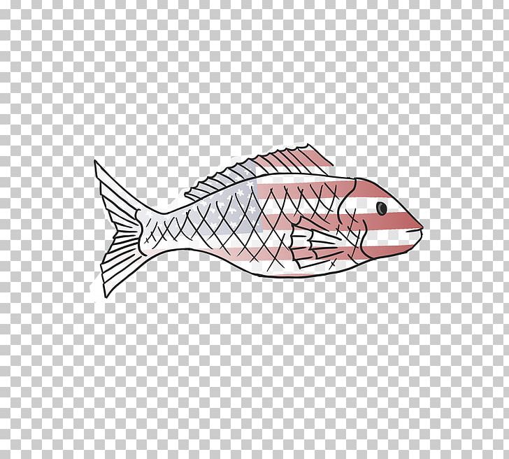 Northern Red Snapper Vertebrate Graphic Design Graphics PNG, Clipart,  Free PNG Download