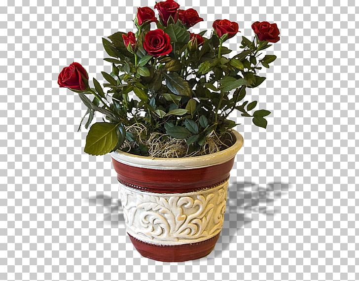 Soria Eventi Garden Roses Flower Plant PNG, Clipart, Artificial Flower, Cut Flowers, Flower, Flowering Plant, Flowerpot Free PNG Download