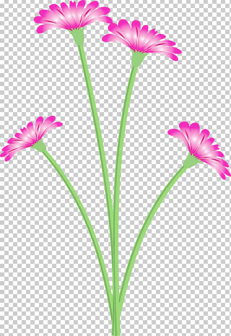 Plant Stem Youtube PNG, Clipart, Dandelion Flower, Google, H Query, Paint, Petal Free PNG Download