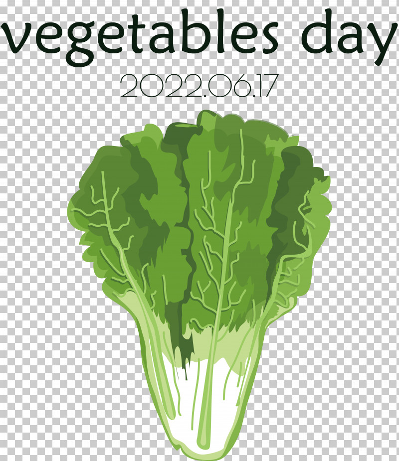 Salad PNG, Clipart, Autumn Vegetables, Cabbage, Celery, Celtuce, Collard Free PNG Download