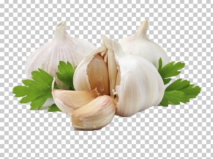 Garlic Olive Oil Herb Ingredient PNG, Clipart, Allicin, Cooking, Flower, Food, Garlic Free PNG Download
