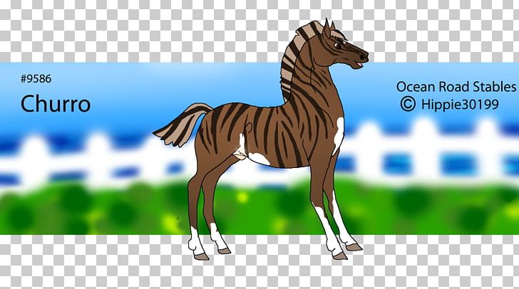 Mane Foal Stallion Mare Mustang PNG, Clipart, Bridle, Churro, Colt, Fauna, Foal Free PNG Download