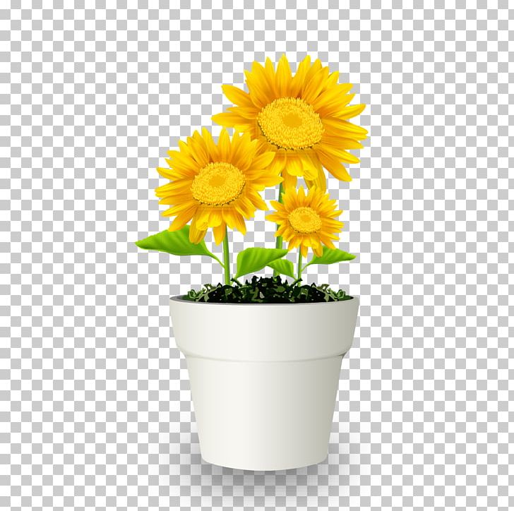 Chrysanthemum Flowerpot Bonsai Transvaal Daisy PNG, Clipart, Calendula, Chrysanths, Cut Flowers, Daisy, Daisy Family Free PNG Download