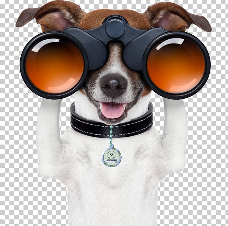 French Bulldog Puppy Pet Dog Park PNG, Clipart, Animals, Binoculars, Carnivoran, Cartoon, Dog Free PNG Download