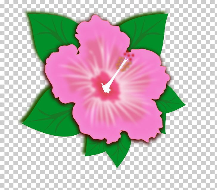 Graphics Open Shoeblackplant Flower PNG, Clipart, Annual Plant, Art, Daisy Family, Desktop Wallpaper, Download Free PNG Download