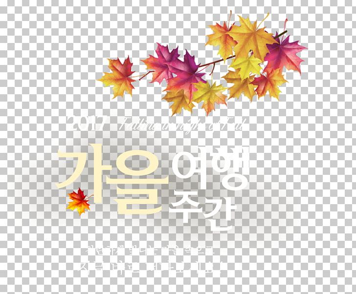 South Korea 한국관광협회중앙회 Ministry Of Education Ministry Of Culture PNG, Clipart, Autumn, Computer Wallpaper, Flower, Leaf, Maple Leaf Free PNG Download