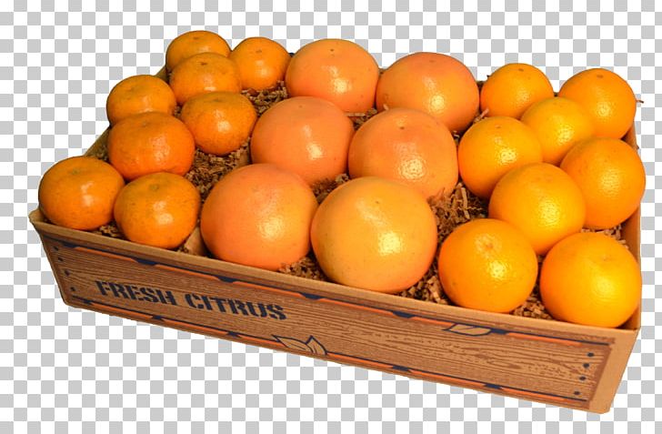 Clementine Tangerine Mandarin Orange Tangelo Grapefruit PNG, Clipart, Bitter Orange, Citrus, Clementine, Food, Food Gift Baskets Free PNG Download