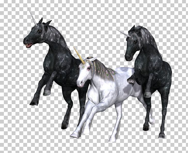 Unicorn Legendary Creature Fairy Tale Fantasy PNG, Clipart, Animal Figure, Fairy, Fairy Tale, Fantasy, Fictional Character Free PNG Download