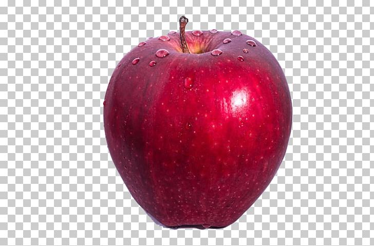 Vampire Addiction: Paranormal Romance Apple Fruit Food Leopard PNG, Clipart, Addiction, Apple, Apple Fruit, Apple Logo, Apple Tree Free PNG Download